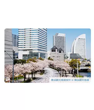 「いい部屋ネット 街の幸福度ランキング2022」で上位ランクイン　神奈川の注目・穴場