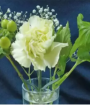 離れて暮らす家族をつなぐ、お花のサブスク「bloomee」