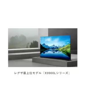 薄型テレビでTVS REGZAが初の年間1位に王手！　シャープを抜く