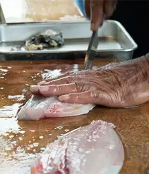 料理素人が「刺身包丁」デビュー! 漁師さんに魚の捌き方を習ってみた カツオにマグロにウツボまで!?