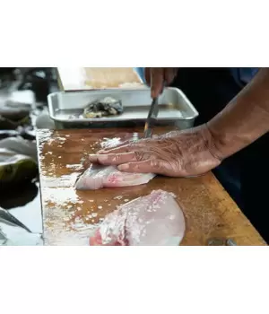 料理素人が「刺身包丁」デビュー! 漁師さんに魚の捌き方を習ってみた カツオにマグロにウツボまで!?