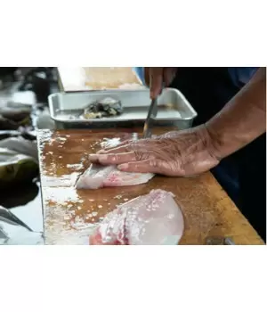 料理素人が「刺身包丁」デビュー! 漁師さんに魚の捌き方を習ってみた カツオにマグロにウツボまで!?