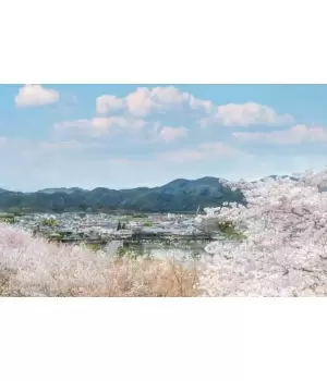 関西エリアでゆっくり満喫できる！ お花見の穴場スポットは？