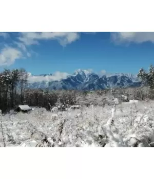 八ヶ岳でのんびり起業暮らし、どうですか？