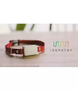 愛犬の気持ちがわかる「イヌパシー」、愛犬が感じるストレスをわかってあげたい