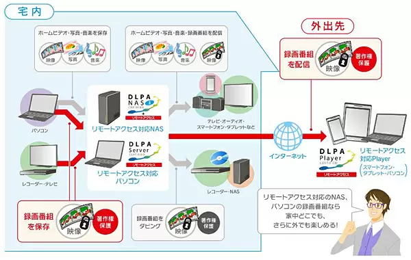 DLPA リモートアクセスのイメージ図