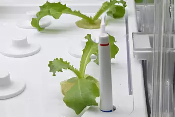 栽培器の端には、釣りに使うウキのような水位フロートがある