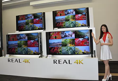 REAL LS1シリーズ