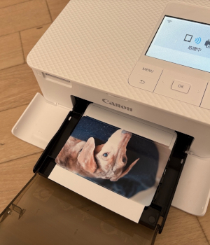 スマホ時代に“手に取る写真”が再燃！ 「SELPHY CP1500」が変えるプリント体験