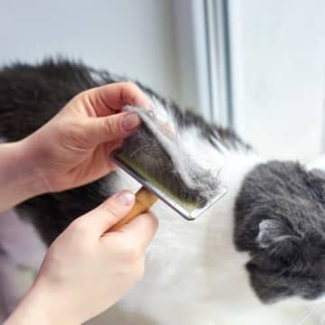 猫の抜け毛の活用アイディア4選1.抜け毛ボールポピュラーな抜け毛活用アイディア「抜け毛ボール」は、実...