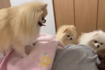 毎日忙しい現代人にとって朝はしんどいもの。不快な気分になる目覚まし時計ではなく、さわやかな気持ちで朝...