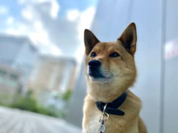 こんにちは、内田友賀です。 この度の能登半島地震により犠牲となられました方々に、謹んでお悔やみを申し...