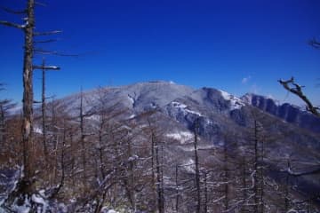 雪山登山初心者を連れて行くことを前提に、リスクの小さいコースで構成した「片道1時間で味わえる雪稜歩き...