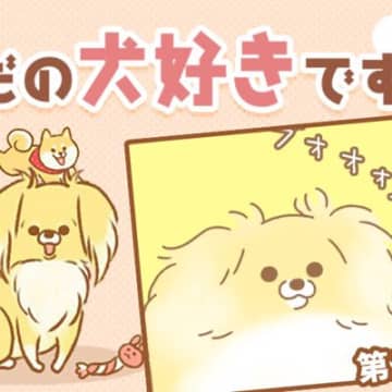 家族の誰よりも毛むくじゃらで暖かそうなポンタですが、冬の寒い日なんかはストーブの前を陣取っています。...