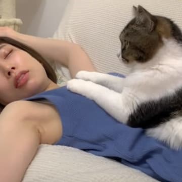 You Tubeに投稿されたのは、寝ている飼い主さんを起こしたい猫の親子の動画です。 遊んでほしくて...