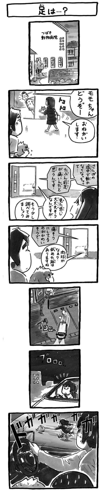 動物病院に行くといろんな出来事に遭遇するよね 足が痛いんちゃうか？って病院に来てたポメラニアンと飼主...