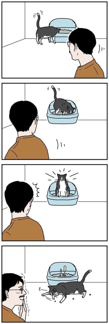 トイレはとても真剣猫のトイレって本当に不思議で、用もないのに砂だけかきに行ったり、トイレをしたあと猛...