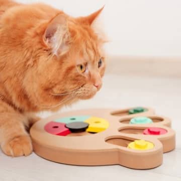 1.トンネル猫は、狭くて薄暗い場所にワクワクします。そのため、中が狭くて薄暗いトンネルは「一人遊び用...