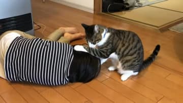YouTubeチャンネル「ハナチャンネル」に投稿され話題になっているのが、女の子と保護猫「ハナ」ちゃ...