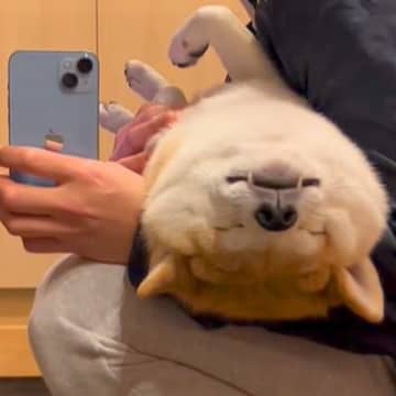 今回ご紹介するのは、Instagramアカウント「kowakusuritagoura89」に投稿され...