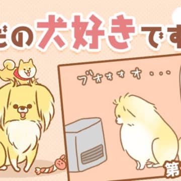 ストーブの目の前で温まるポンタを抱っこすると、湯たんぽのように温まっていることがあるので、少し心配に...