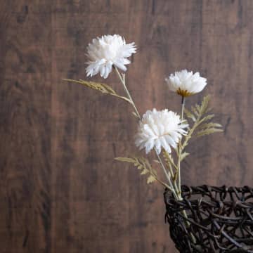 お部屋に1つアイテムをプラスするなら、【ダイソー】と【セリア】の「おしゃれインテリア」がおすすめです...