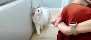 どこからか聞こえてくる音に気づいたつくしちゃん。聞き慣れない音に戸惑っています…。音の正体はママさん...