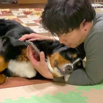 YouTubeチャンネル「ジャビチャンネル」に投稿された1本の動画。飼い主さんが携帯をいじっているの...
