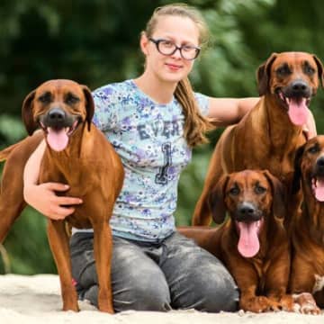 犬を「多頭飼い」するメリットひとりきりのお留守番はかわいそう、この子にも仲間がいた方が…と、犬の「多...