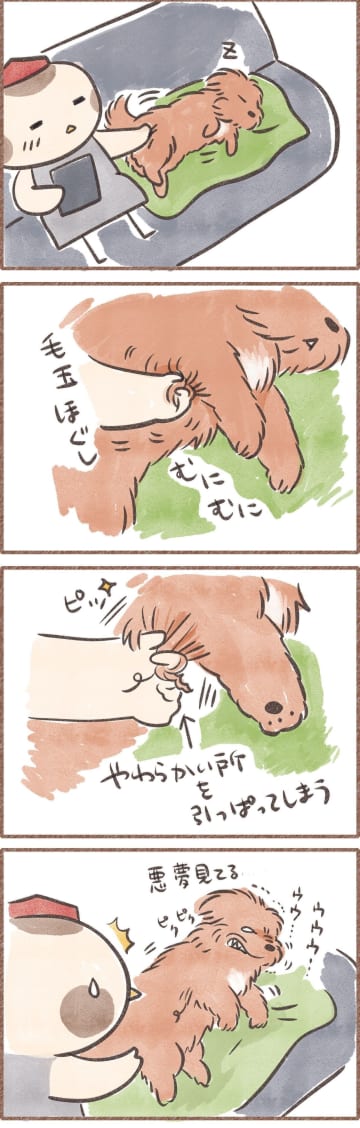 あっごめん…こんにちは、スズメ天狗。です。てんすけは毛がもふもふしてます。脇の部分の毛は特に細く、綿...