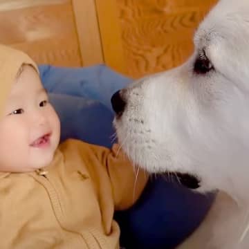 赤ちゃんが泣いてしまったときの対応は、血のつながったママでも大変なもの。そんな中、秒で泣き止ませる超...