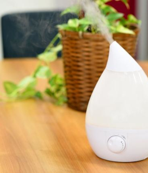 加湿器の置き場所はどこが最適？ 間違えると性能が出ないだけじゃなく結露の被害も