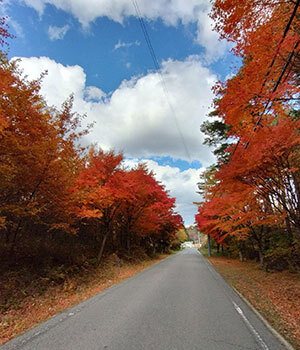 田舎でのんびり「好きと得意」で起業しよう！ 八ヶ岳南麓はもう冬の始まり