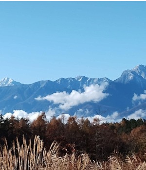 田舎でのんびり起業、成功のコツは二つ！