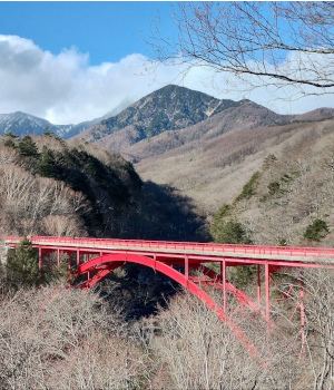 田舎でのんびり起業を推進している地域って素敵ですよね