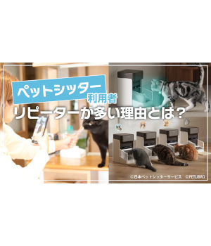 「にゃんこ」がいるから旅行に行けない…？はじめてでも安心の「ペットシッターサービス」 No.1人気は「月5回以上」の利用