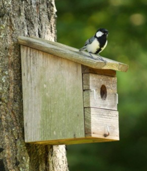 八ヶ岳暮らし最大の苦行!? 草刈りもポタ電で！