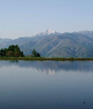 リモートワークの必需品、コンパクト全自動コーヒーメーカーで至福の一杯