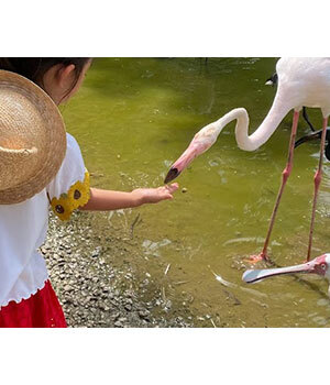 「子連れ海外旅行」は準備がカギ、朝かなえ流・快適準備術 in プーケット