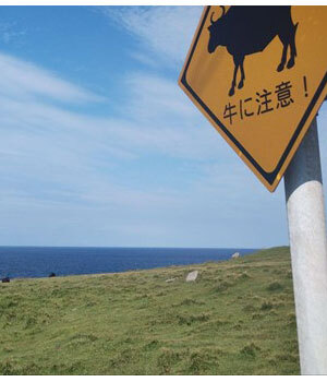 長崎県でワーケーション！旅も仕事もサイコーでした