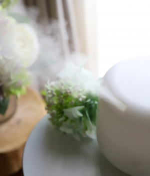 加湿器の代わりに湿度を上げる方法を徹底紹介 冬の乾燥もこれで安心