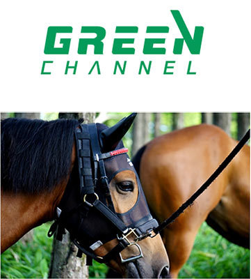 競馬専門の グリーンチャンネル 2月29日と3月1日は無料で放送 n R 競馬専門の グリーンチャンネル 2月29日と3月1日は無料で放送 n R