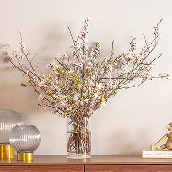 新型コロナに負けず 家花見 で楽しむ おウチでお花見 桜セット 登場 n R 新型コロナに負けず 家花見 で楽しむ おウチでお花見 桜セット 登場 n R