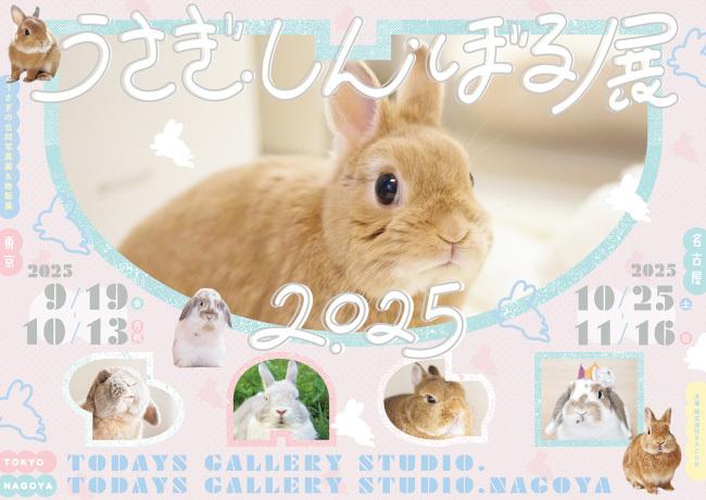 癒される！東京・浅草橋で「うさぎしんぼる展 2025」を開催 - BCN＋R