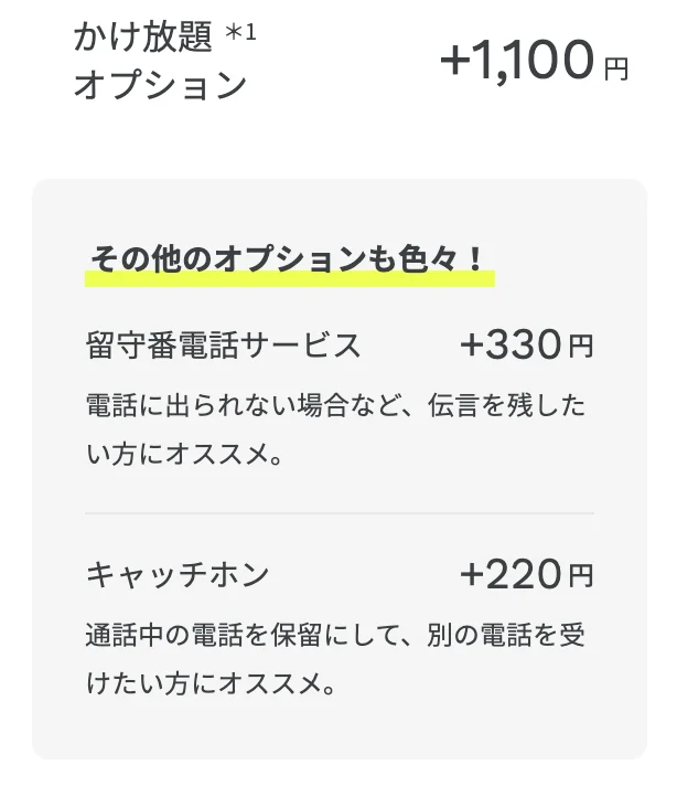ahamoの電話かけ放題オプション