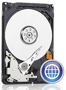 WD BLUE 1TB