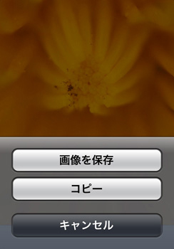 写真を長押しすると保存ボタンが表示される