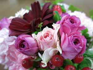 キヤノン「PowerShot S110」のマクロ作例