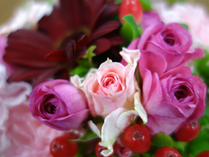 ソニー「Cyber-shot RX100」のマクロ作例