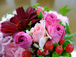 富士フイルム「FUJIFILM X20」のマクロ作例